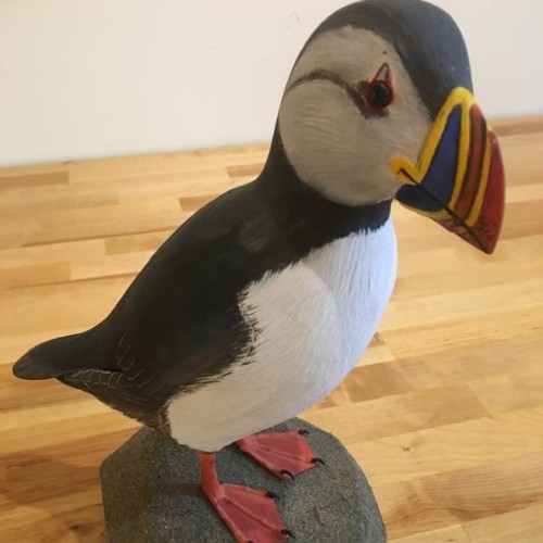 Puffin